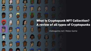 What is Cryptopunk NFT Collection? A review of all types of Cryptopunks