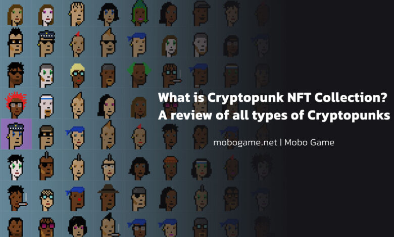 What is Cryptopunk NFT Collection? A review of all types of Cryptopunks
