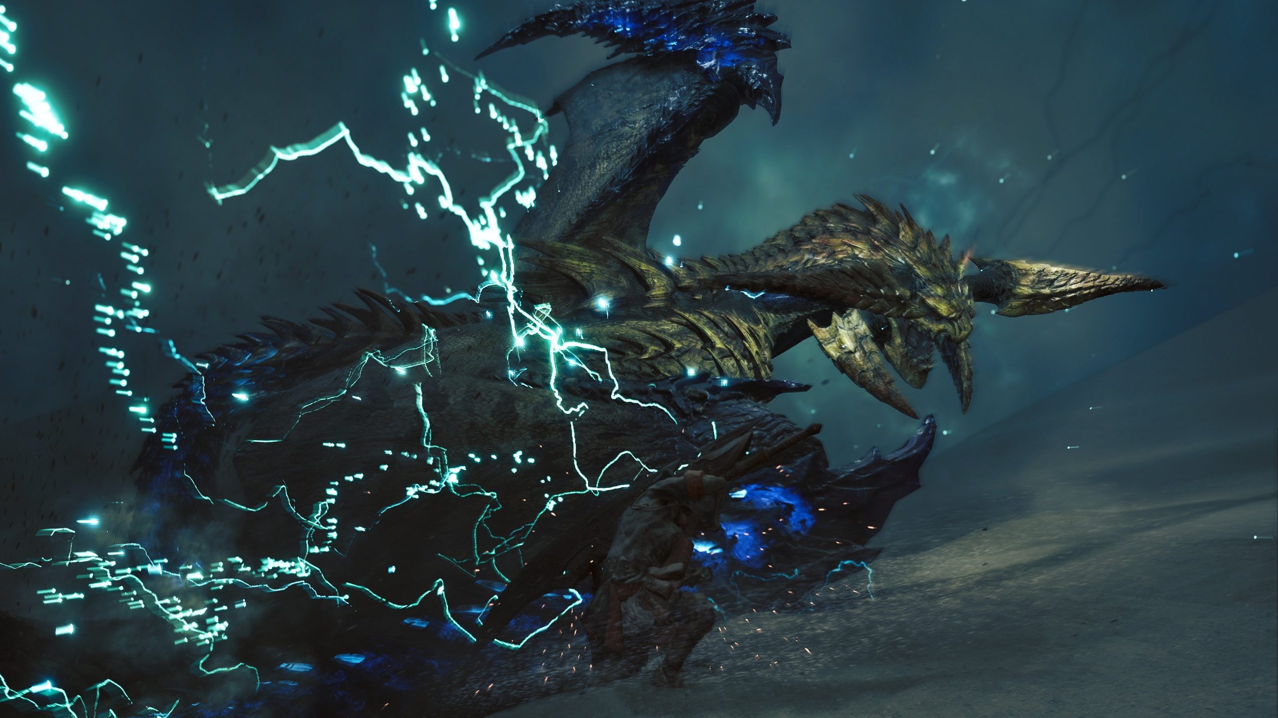 Monster Hunter Wilds استفاده از VRAM را در رایانه شخصی با بروزرسانی عنوان 1 کاهش می دهد