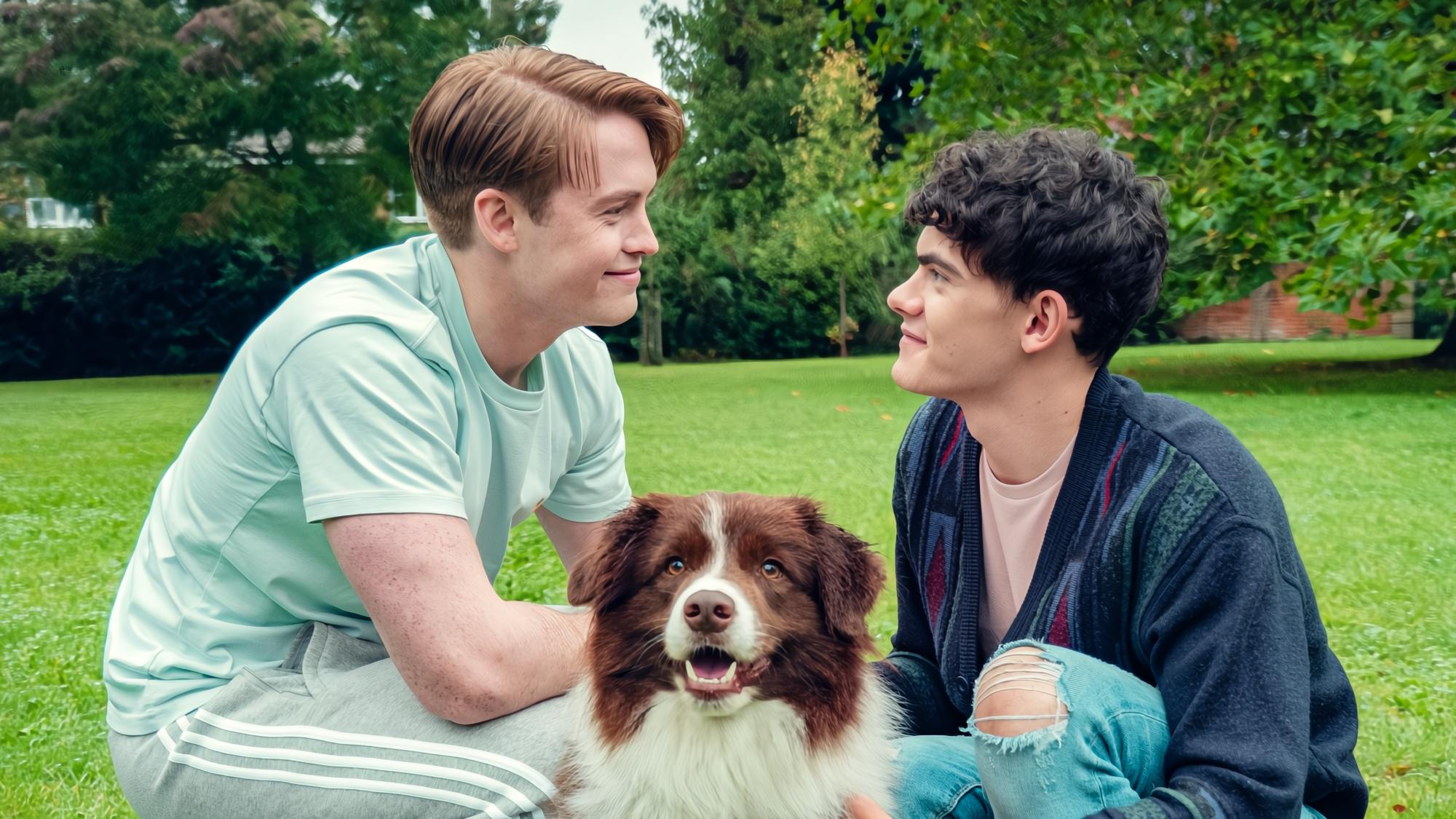 Netflix تأیید کرد که “Heartstopper به جای فصل 4 فیلمی خریداری می کند – این چیزی است که ما می دانیم