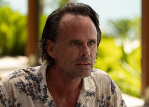 7 بهترین نمایش Walton Goggins هم اکنون منتشر می شود
